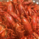 CRAWFISH